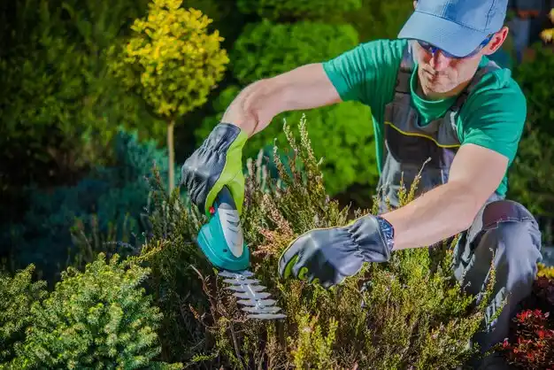 landscaping services Strathmoor Village